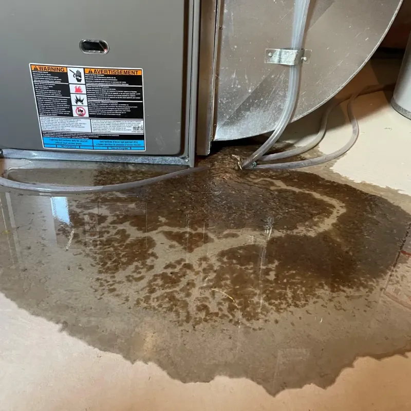 Appliance Leak Cleanup in Lorain, OH